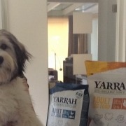 filova waarom biologisch hondenvoer