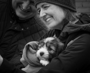 Verzorging Puppy vacht en voeding - Filova hondenverzorging