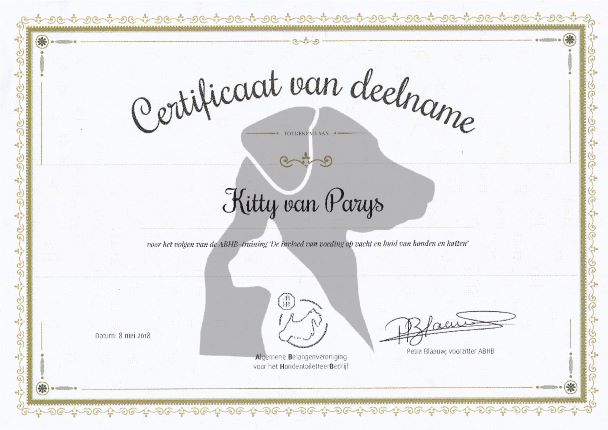 Certificaat Kitty - Filova dierenspeciaalzaak