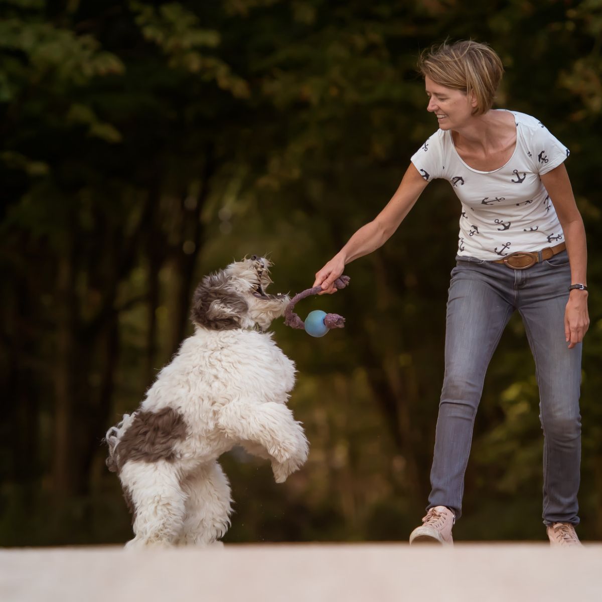 Hondenspeeltjes Filova dierenwinkel