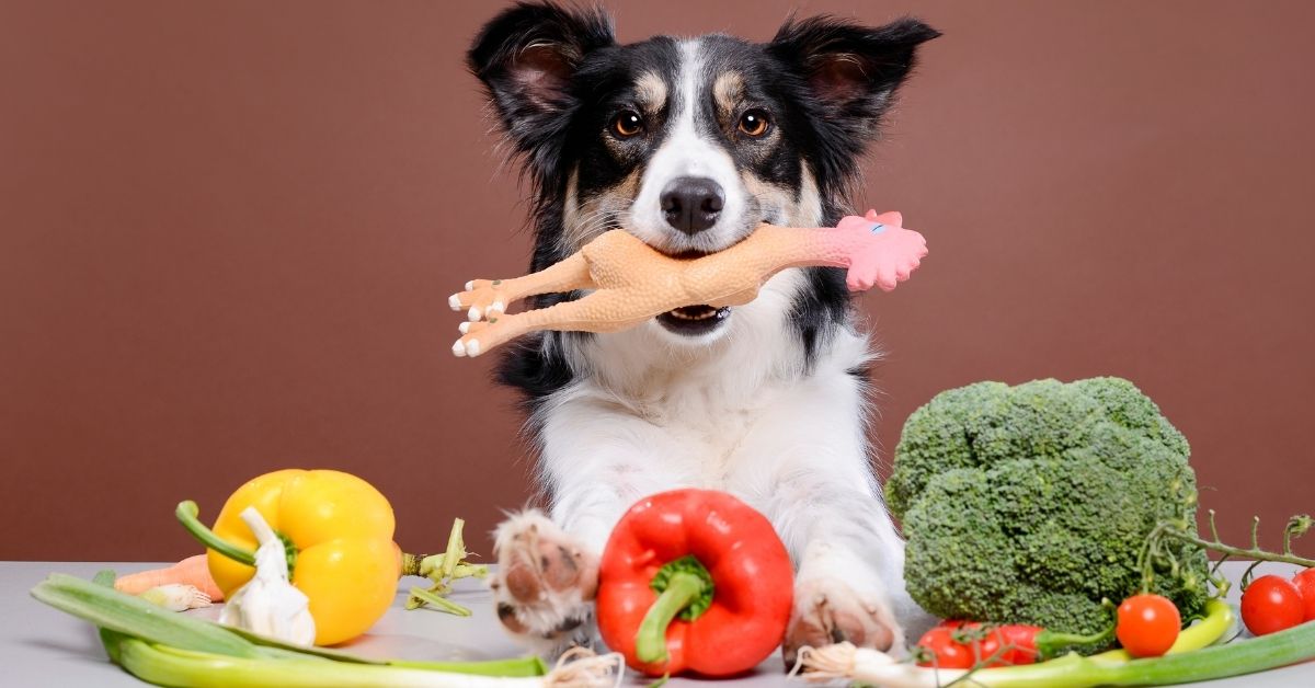 Welke groenten en fruit mag je aan je hond geven