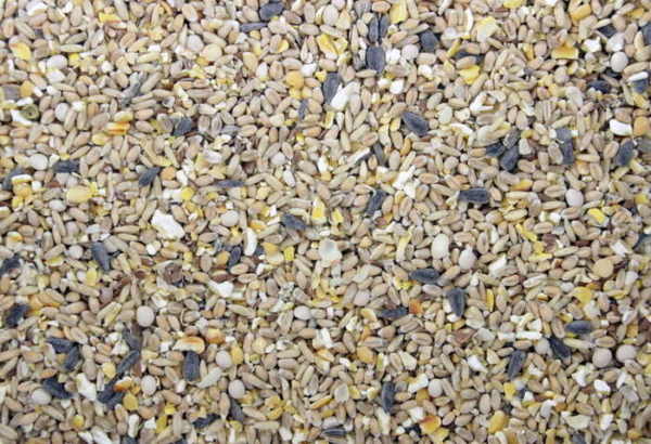 Bio kippenvoer farmersmix (Via Organica 4-12.5kg) - Afbeelding 3
