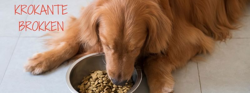 Krokante brokken banner
