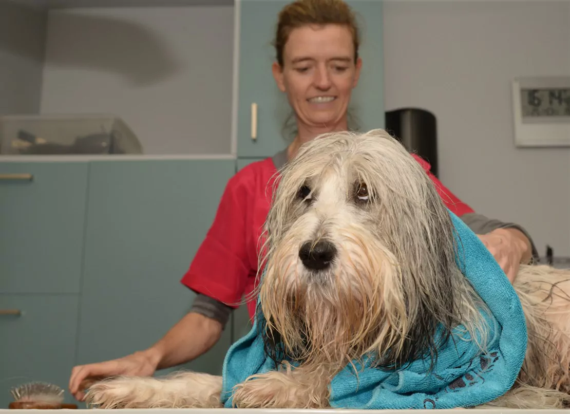 filova vachtadvies op maat filova vachtadvies op maat