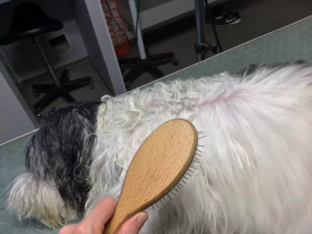 Lova onder de droger