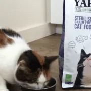 Filova kattenvoer Yarrah voor de gesteriliseerde katten