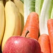 Groenten en fruit voor honden | Filova dierenwelzijn