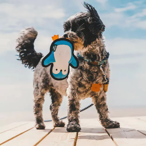 beco-beco-plush-toy-penguin