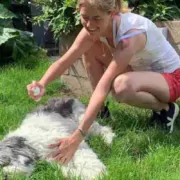 Appelazijn als tekenmiddel