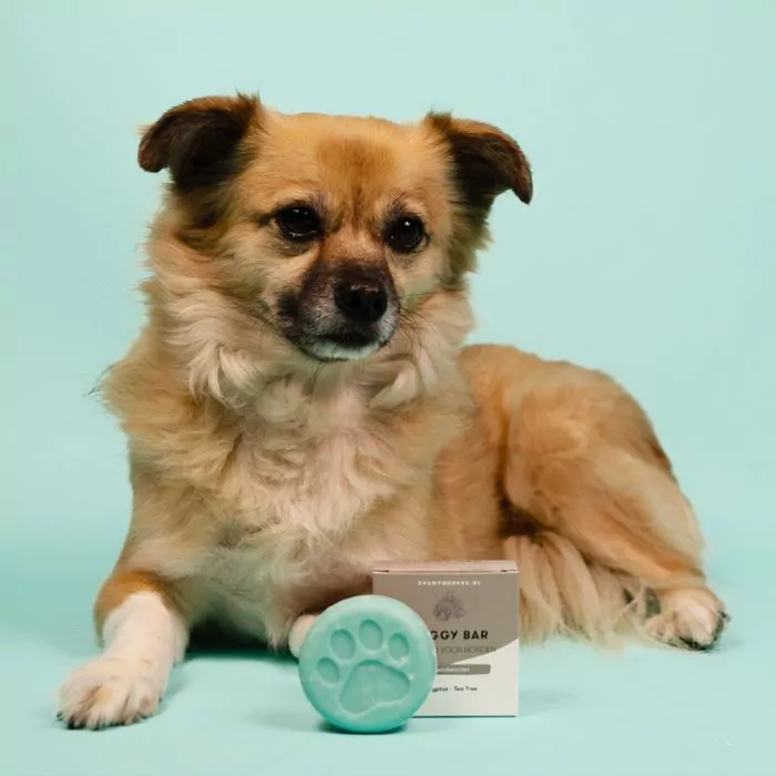 Shampoo bar voor honden | Eco dierenspeciaalzaak