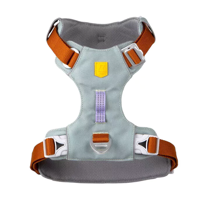 Alpha 360 Harness, Glacier Green