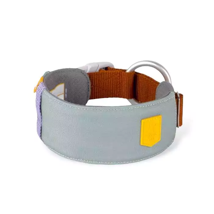 Alpha 360 Collar, Glacier Green Mix (CLRAL149-L CLRAL149-M CLRAL149-S CLRAL149-XL)-3