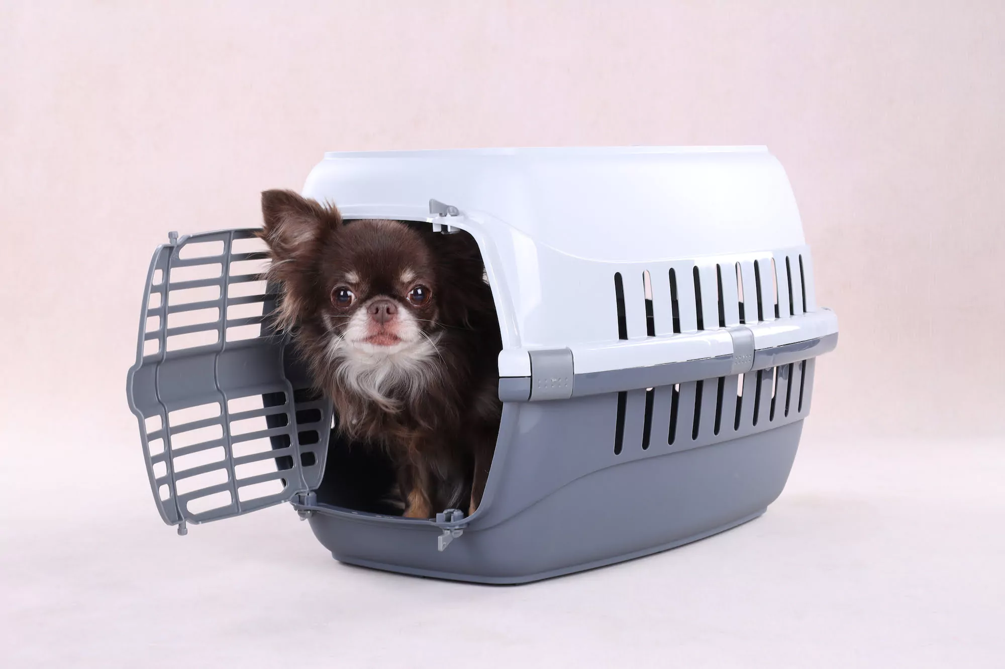 Transportkooi Noah 1 Donkergrijs